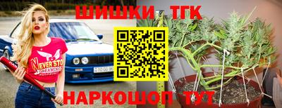 МДПВ Краснознаменск