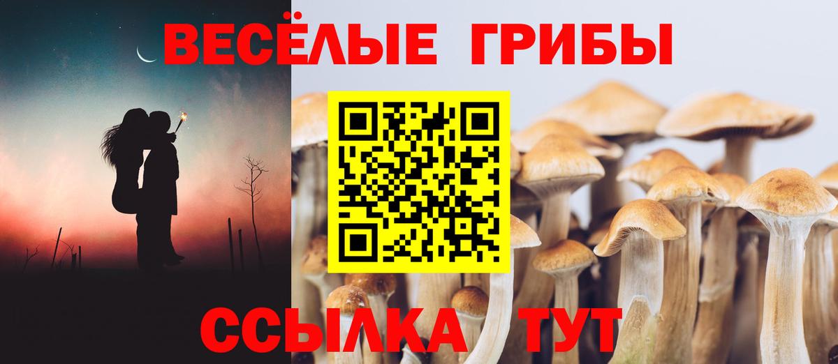 Йошкар-Ола  Псилоцибиновые грибы ЛСД  Галлюциногенные грибы мицелий  Вход с VPN 